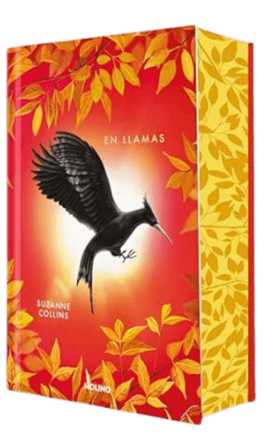 En llamas